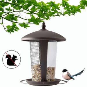 Squirrel Proof Bird Feeder