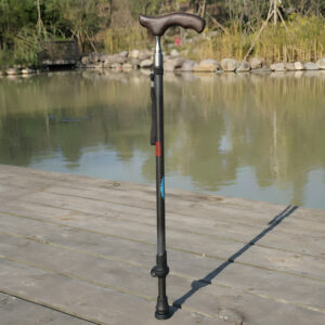 Japanese Premium Walking Stick